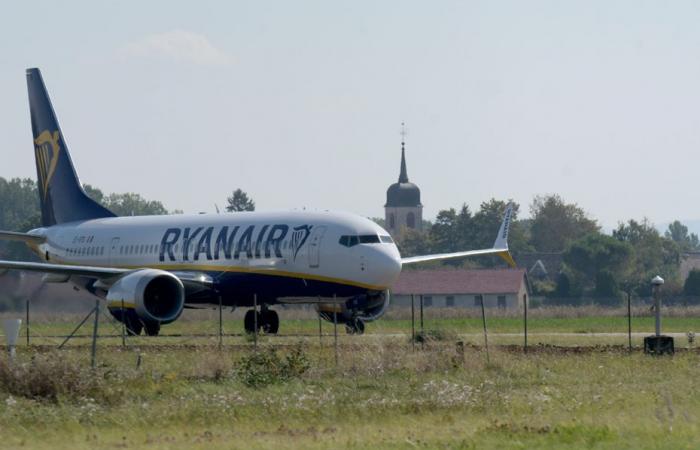 Should we continue to invest in Dole-Jura airport? A collective of associations says “stop” and launches a petition