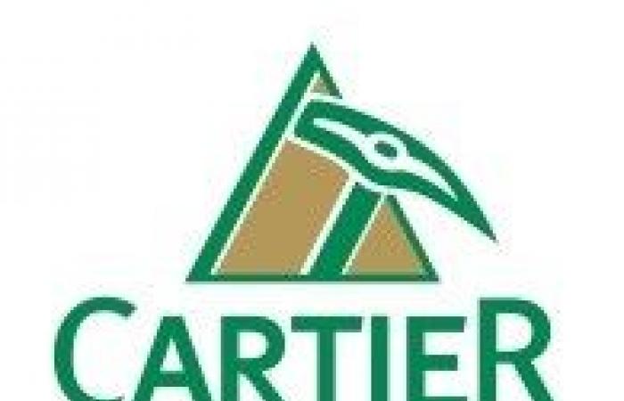 Cartier intersects 173.6 g/t Au over 0.5 m and 11.7 g/t Au over