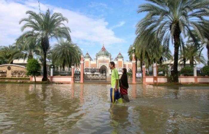 Floods in southern Thailand: death toll rises to 25: News