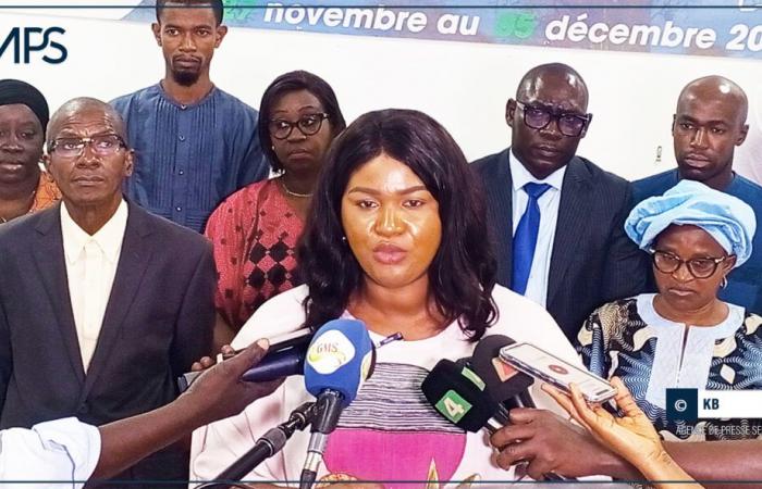 SENEGAL-ECONOMY / ADEPME will supervise more than 300 small and medium-sized businesses in the Ziguinchor region – Senegalese press agency