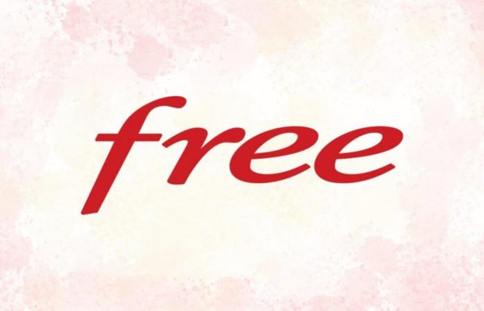 Free does as it pleases and offers its legendary internet box at crazy prices