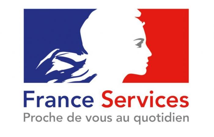 1st Departmental Day of actors and advisors France services 77 – France services – Procedures near you – Procedures