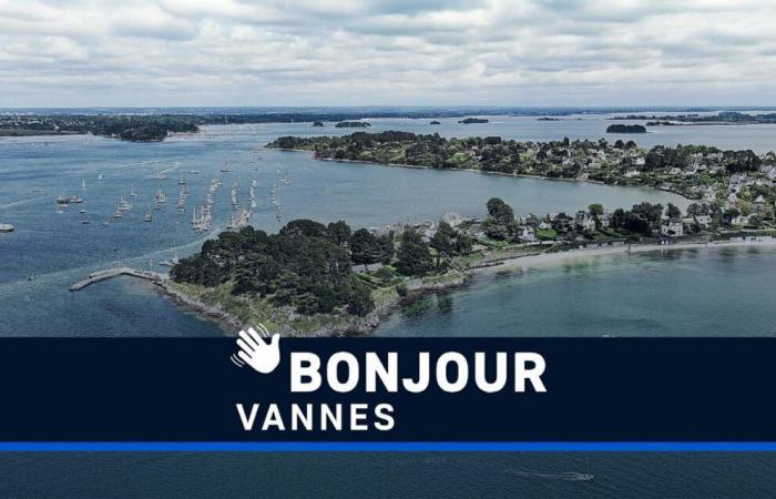 Cork, RCV, freshness, Gulf of Morbihan… Hello Vannes!