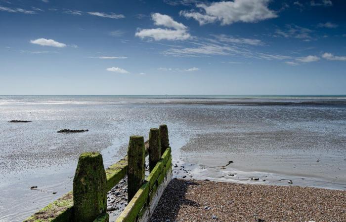 This pretty stone found by a child on a beach was actually a rare Paleolithic tool