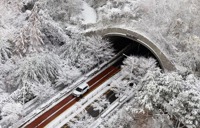 Seoul, South Korea snow: Delight and disruption as record November snowfall hits capital