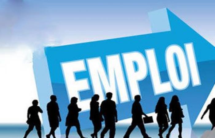 Employability issues: Simplon launches Repec – Lequotidien