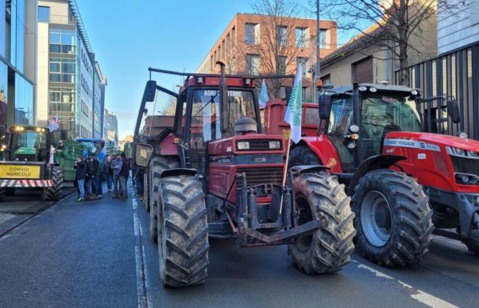 Censorship: farmers in Hauts-de-France tired and worried about another return to square one