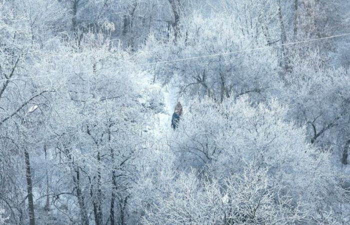 Snow, cold wind… Winter will really begin this weekend