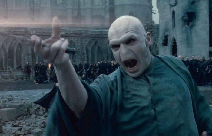 The Voldemort of the films chooses his successor and you know him well