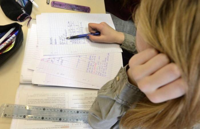 The level of French students in maths and sciences is below the OECD average but continues to fall, according to an international study