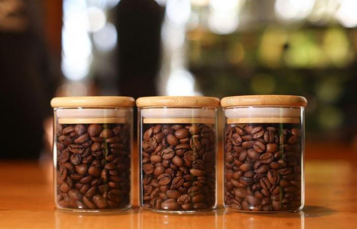 Why are coffee prices trading near half-century highs?