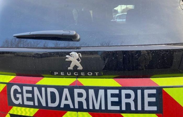 Young man killed in front of a nightclub in Marne: three people taken into police custody