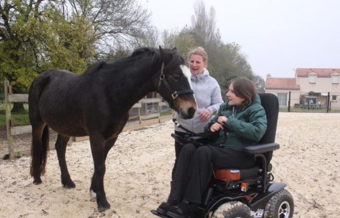 Quadriplegic at 16 after a fall, Sarah rebuilds herself… with her horses in Loire-Atlantique