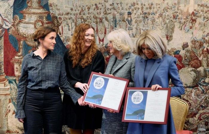 Camilla and Brigitte Macron, a more than cordial understanding in London to celebrate literature