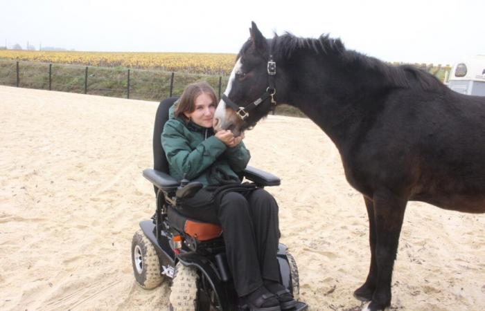 Quadriplegic at 16 after a fall, Sarah rebuilds herself… with her horses in Loire-Atlantique