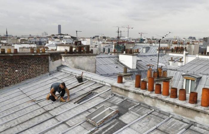 Unesco classifies the know-how of roofers and zinc workers – Libération