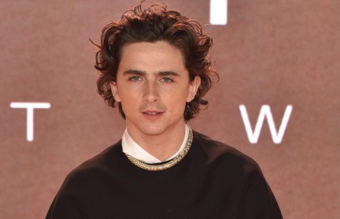 Timothée Chalamet offered to pay the fine imposed on the organizer of a lookalike competition