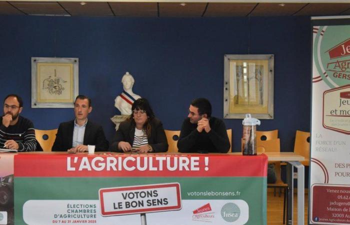 “Raising our local issues”: Young Farmers and the FDSEA of Gers “on all fronts” one month before the elections