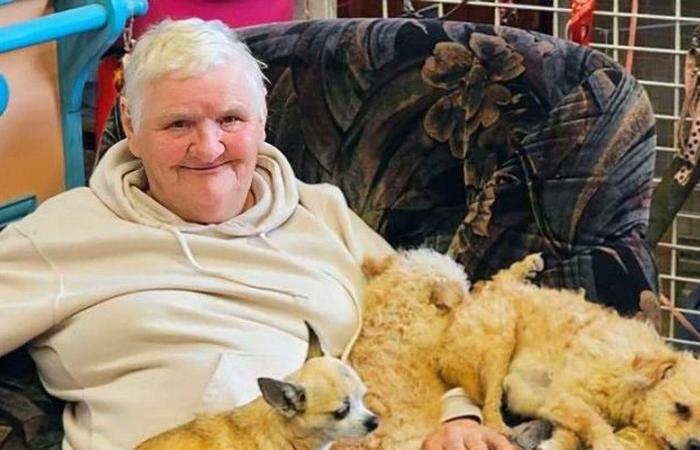 An atypical figure in animal protection in Lot-et-Garonne, Raymonde has died