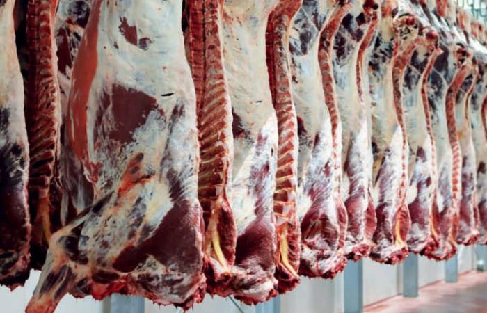 Government takes steps to support red meat market