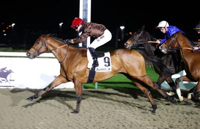 Fast Raaj in his garden Deauville