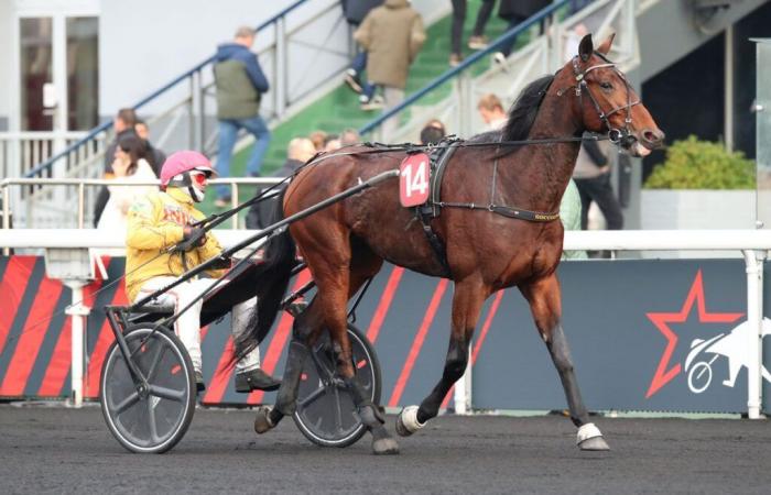 A very nice field in the Ready Cash Prize this Sunday at Vincennes