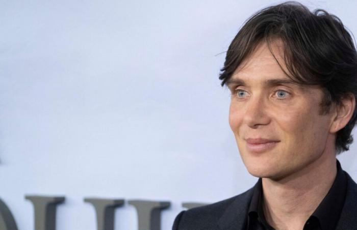 Cillian Murphy for the role of Voldemort? Ralph Fiennes already says yes