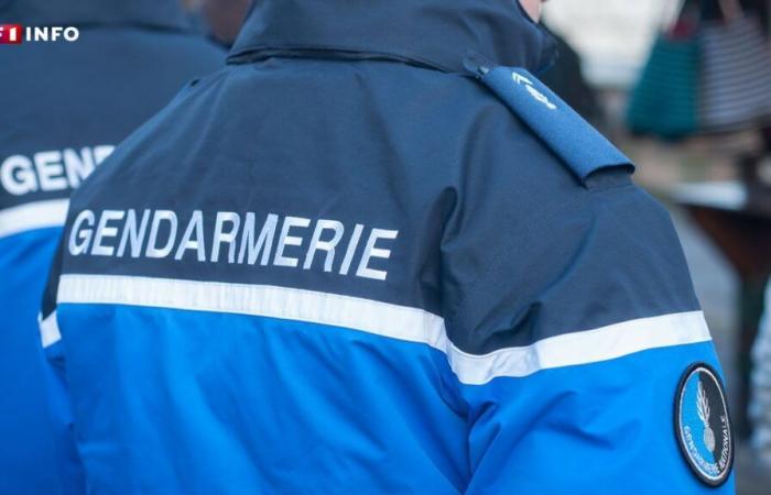 Marne: three people in police custody after the murder of a young man in front of a nightclub