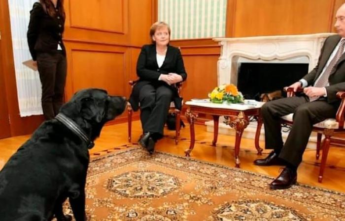 17 years later, President Putin apologizes to Merkel following dog incident