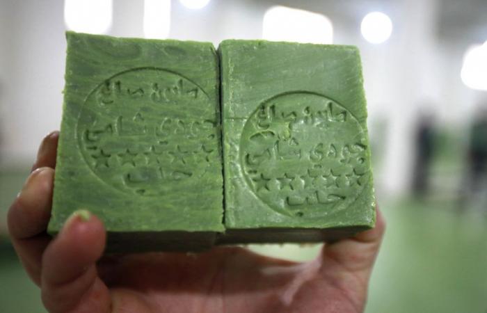 Intangible heritage of humanity | Henna and Aleppo soap recognized by UNESCO