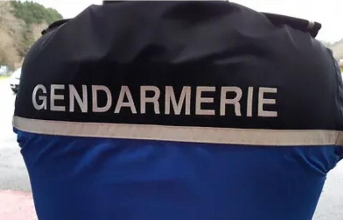 Garonne – Call for witnesses from the gendarmes after a road accident