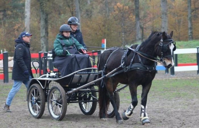 Quadriplegic at 16 after a fall, Sarah rebuilds herself… with her horses in Loire-Atlantique