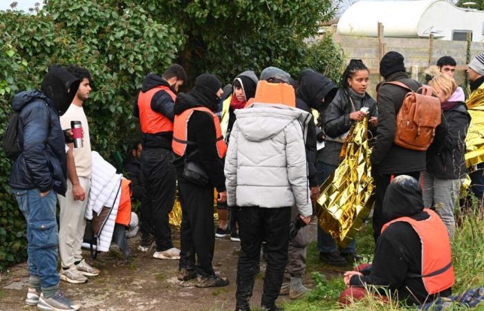 Eighty-five migrants trying to reach England rescued at sea off Pas-de-Calais