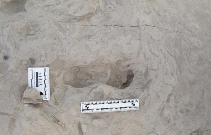 Footprints in Kenya reveal the cohabitation of two species of hominins