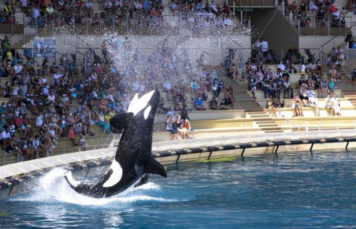 The Marineland park mentions a “permanent closure” on January 5