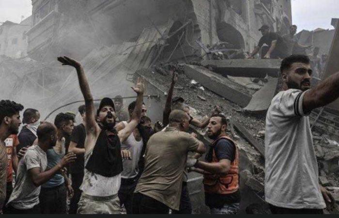 Testimonies from Gazans: Day-to-day survival in the hell of Gaza – part 240 / December 4 – Gaza a stain on the world conscience – International Solidarity Movement