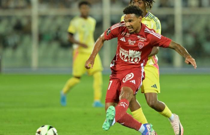 Ligue 1 – J14: Several significant potential absences in Brittany for LOSC – Stade Brestois