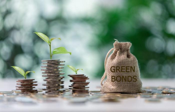 Green bonds: what future? – 04/12/2024 at 3:25 p.m.