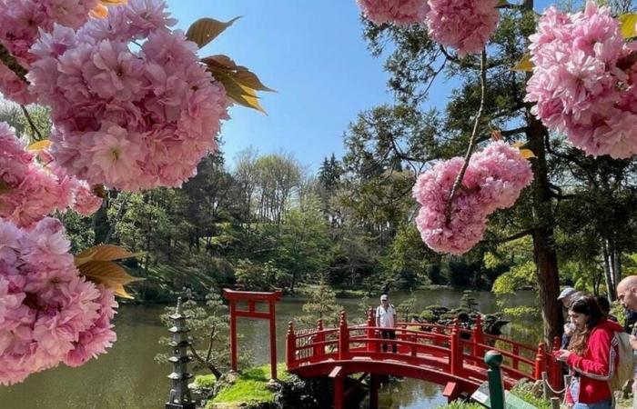 This Maine-et-Loire park once again breaks its attendance record