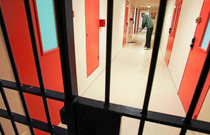 Near Rennes, the child was shot in the head: three people incarcerated