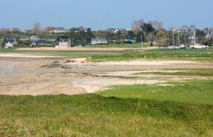 Farm threatened by rising water levels in the Channel: what the Conservatoire du