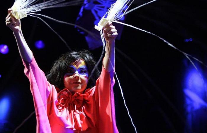 At the Pompidou Center in Paris, Björk delivers an optimistic manifesto for nature – rts.ch