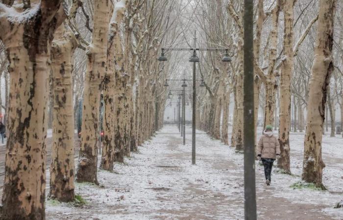 a “polar air descent” from Sunday, winter launches an offensive next week in France