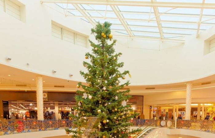 DIJON: The Toison d’or shopping center offers “a magical and supportive Christmas”