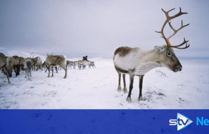 Will Scotland have a white Christmas this year?