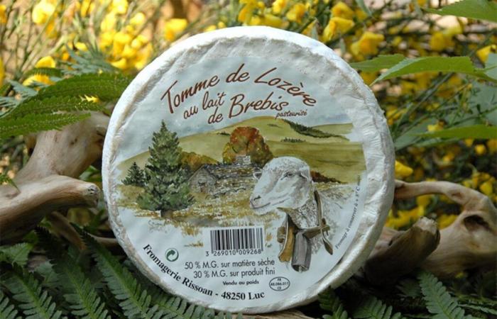 Lozère cheese recalled throughout France