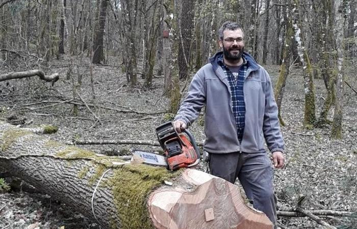 from Gironde to Paris, one of its oaks was used in the reconstruction of Notre-Dame