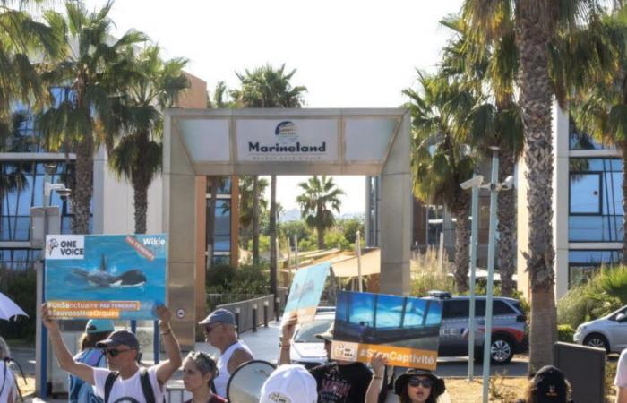 Antibes. Marineland will permanently close its doors on January 5