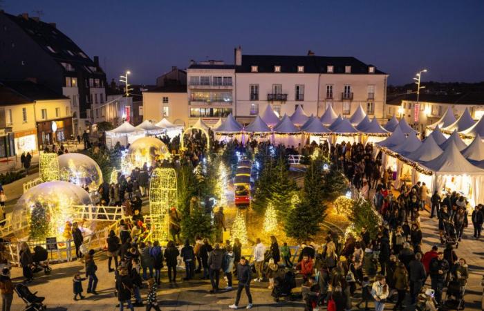 This week’s Christmas festivities in La Roche-sur-Yon and the surrounding area