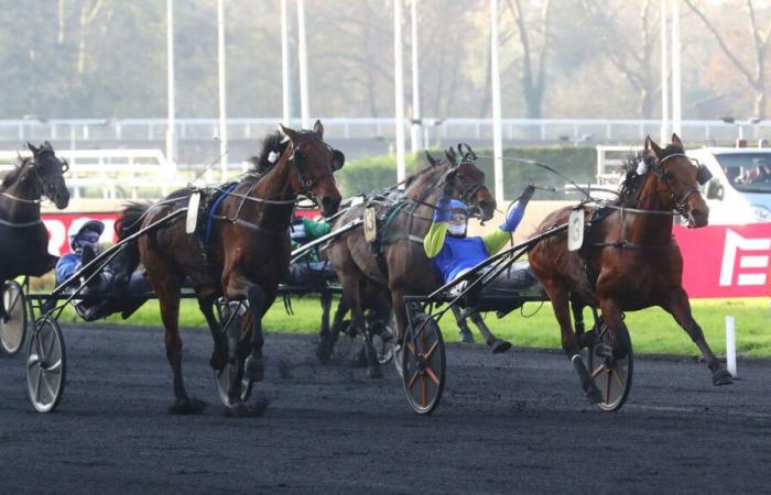 PMU – Arrival of the quinté on Wednesday December 4 at Paris-Vincennes: Chemar shows his true face